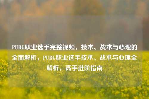 PUBG职业选手完整视频，技术、战术与心理的全面解析，PUBG职业选手技术、战术与心理全解析，高手进阶指南