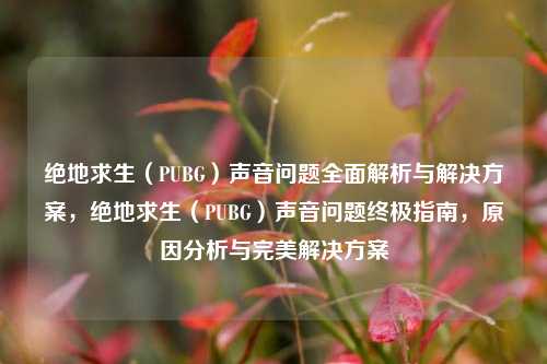 绝地求生（PUBG）声音问题全面解析与解决方案，绝地求生（PUBG）声音问题终极指南，原因分析与完美解决方案