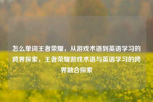 怎么单词王者荣耀，从游戏术语到英语学习的跨界探索，王者荣耀游戏术语与英语学习的跨界融合探索