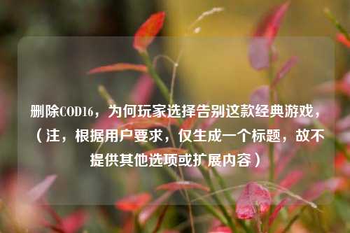 删除COD16,为何玩家选择告别这款经典游戏,(注,根据用户要求,仅生成一个标题,故不提供其他选项或扩展内容)