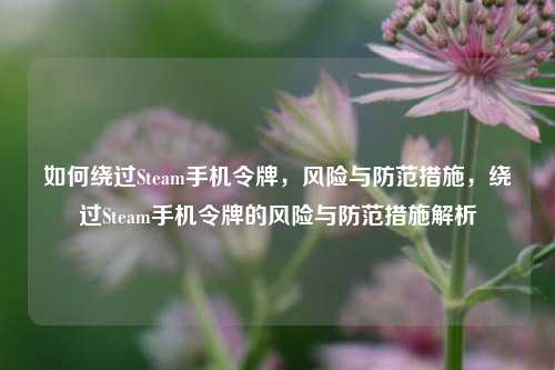 如何绕过Steam手机令牌,风险与防范措施,绕过Steam手机令牌的风险与防范措施解析