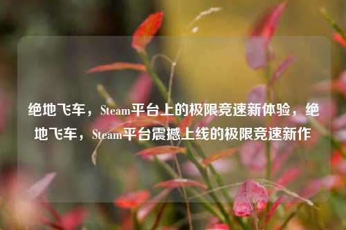 绝地飞车，Steam平台上的极限竞速新体验，绝地飞车，Steam平台震撼上线的极限竞速新作