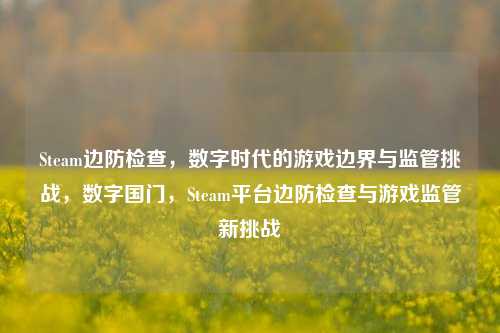 Steam边防检查,数字时代的游戏边界与监管挑战,数字国门,Steam平台边防检查与游戏监管新挑战