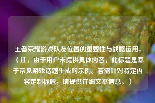 王者荣耀游戏队友位置的重要性与战略运用，（注，由于用户未提供具体内容，此标题是基于常见游戏话题生成的示例。若需针对特定内容定制标题，请提供详细文本信息。）