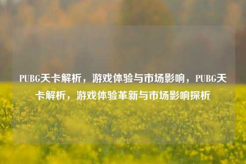 PUBG天卡解析，游戏体验与市场影响，PUBG天卡解析，游戏体验革新与市场影响探析