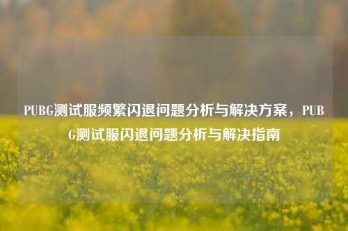 PUBG测试服频繁闪退问题分析与解决方案，PUBG测试服闪退问题分析与解决指南