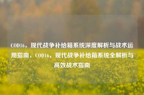 COD16，现代战争补给箱系统深度解析与战术运用指南，COD16，现代战争补给箱系统全解析与高效战术指南