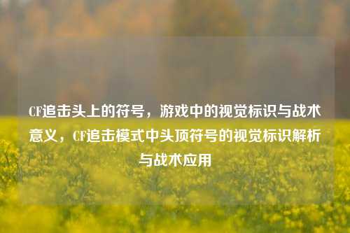 CF追击头上的符号,游戏中的视觉标识与战术意义,CF追击模式中头顶符号的视觉标识解析与战术应用