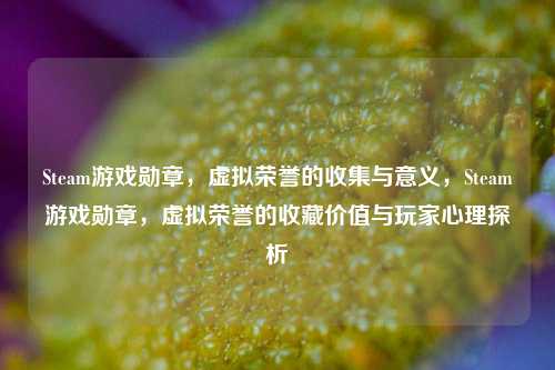 Steam游戏勋章，虚拟荣誉的收集与意义，Steam游戏勋章，虚拟荣誉的收藏价值与玩家心理探析