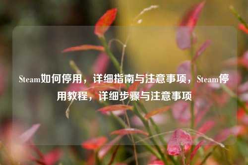 Steam如何停用，详细指南与注意事项，Steam停用教程，详细步骤与注意事项