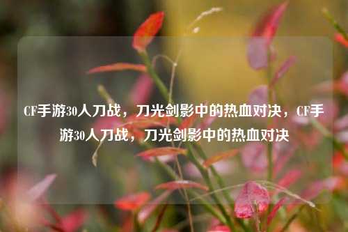 CF手游30人刀战，刀光剑影中的热血对决，CF手游30人刀战，刀光剑影中的热血对决