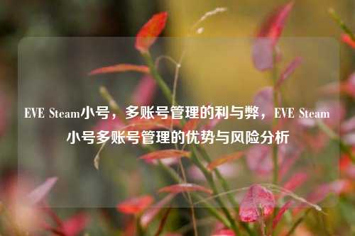 EVE Steam小号,多账号管理的利与弊,EVE Steam小号多账号管理的优势与风险分析