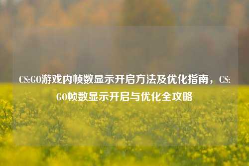CS:GO游戏内帧数显示开启方法及优化指南,CS:GO帧数显示开启与优化全攻略