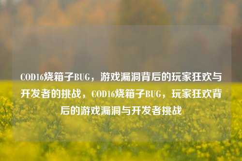 COD16烧箱子BUG，游戏漏洞背后的玩家狂欢与开发者的挑战，COD16烧箱子BUG，玩家狂欢背后的游戏漏洞与开发者挑战
