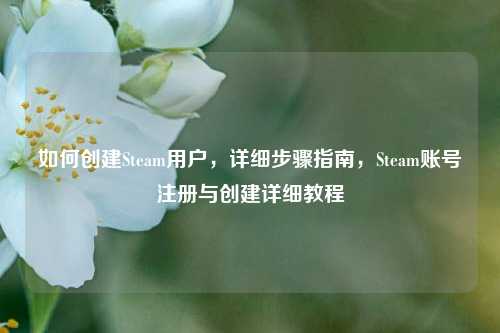 如何创建Steam用户，详细步骤指南，Steam账号注册与创建详细教程