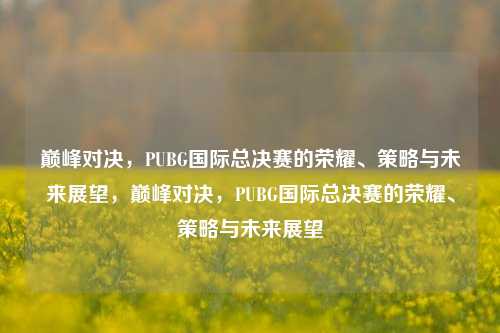 巅峰对决,PUBG国际总决赛的荣耀、策略与未来展望,巅峰对决,PUBG国际总决赛的荣耀、策略与未来展望