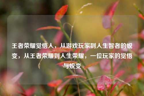 王者荣耀觉悟人,从游戏玩家到人生智者的蜕变,从王者荣耀到人生荣耀,一位玩家的觉悟与蜕变