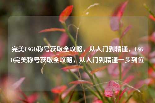 完美CSGO称号获取全攻略，从入门到精通，CSGO完美称号获取全攻略，从入门到精通一步到位