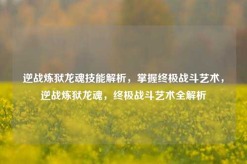 逆战炼狱龙魂技能解析，掌握终极战斗艺术，逆战炼狱龙魂，终极战斗艺术全解析