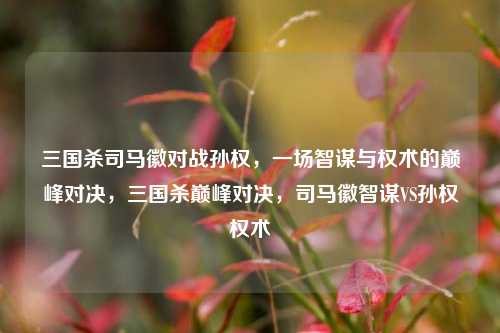 三国杀司马徽对战孙权,一场智谋与权术的巅峰对决,三国杀巅峰对决,司马徽智谋VS孙权权术