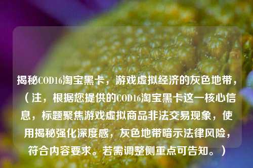 揭秘COD16淘宝黑卡，游戏虚拟经济的灰色地带，（注，根据您提供的COD16淘宝黑卡这一核心信息，标题聚焦游戏虚拟商品非法交易现象，使用揭秘强化深度感，灰色地带暗示法律风险，符合内容要求。若需调整侧重点可告知。）