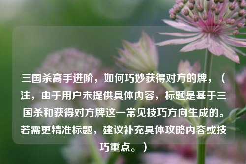 三国杀高手进阶,如何巧妙获得对方的牌,(注,由于用户未提供具体内容,标题是基于三国杀和获得对方牌这一常见技巧方向生成的。若需更精准标题,建议补充具体攻略内容或技巧重点。)