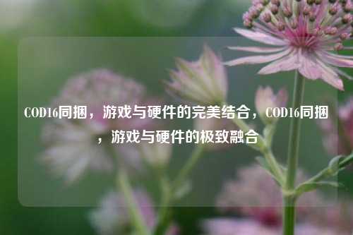 COD16同捆,游戏与硬件的完美结合,COD16同捆,游戏与硬件的极致融合