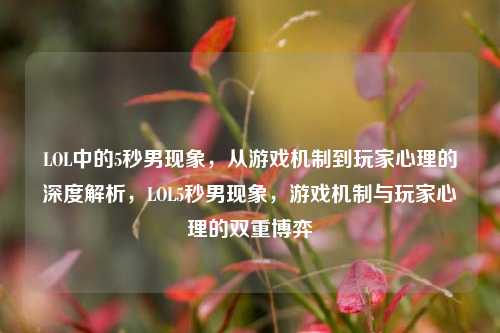 LOL中的5秒男现象,从游戏机制到玩家心理的深度解析,LOL5秒男现象,游戏机制与玩家心理的双重博弈