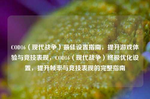 COD16(现代战争)最佳设置指南,提升游戏体验与竞技表现,COD16(现代战争)终极优化设置,提升帧率与竞技表现的完整指南