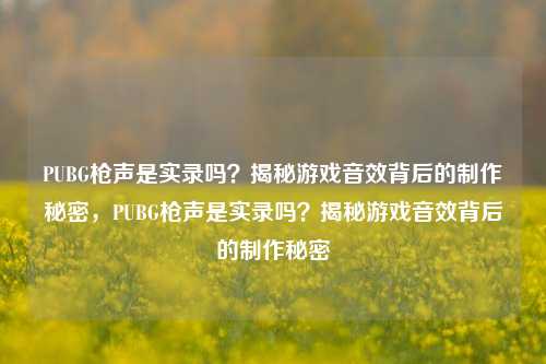 PUBG枪声是实录吗?揭秘游戏音效背后的制作秘密,PUBG枪声是实录吗?揭秘游戏音效背后的制作秘密