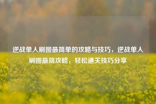 逆战单人刷图最简单的攻略与技巧,逆战单人刷图最简攻略,轻松通关技巧分享