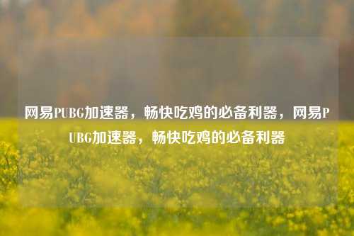 网易PUBG加速器,畅快吃鸡的必备利器,网易PUBG加速器,畅快吃鸡的必备利器