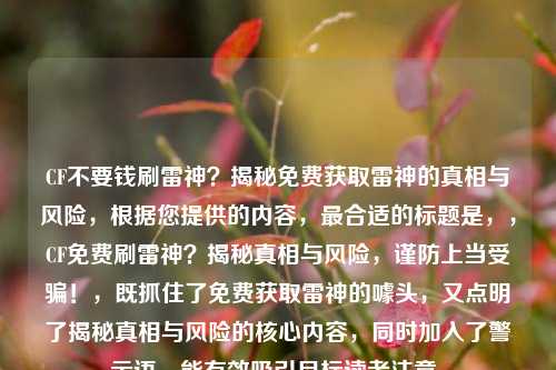 CF不要钱刷雷神?揭秘免费获取雷神的真相与风险,根据您提供的内容,最合适的标题是,,CF免费刷雷神?揭秘真相与风险,谨防上当受骗!,既抓住了免费获取雷神的噱头,又点明了揭秘真相与风险的核心内容,同时加入了警示语,能有效吸引目标读者注意。