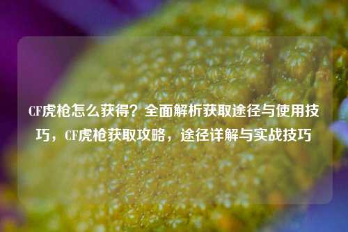CF虎枪怎么获得?全面解析获取途径与使用技巧,CF虎枪获取攻略,途径详解与实战技巧