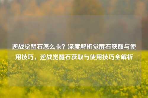 逆战觉醒石怎么卡?深度解析觉醒石获取与使用技巧,逆战觉醒石获取与使用技巧全解析