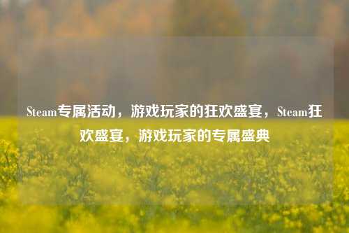 Steam专属活动,游戏玩家的狂欢盛宴,Steam狂欢盛宴,游戏玩家的专属盛典