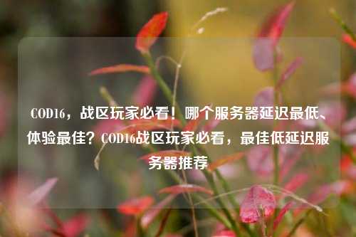 COD16,战区玩家必看!哪个服务器延迟最低、体验最佳?COD16战区玩家必看,最佳低延迟服务器推荐