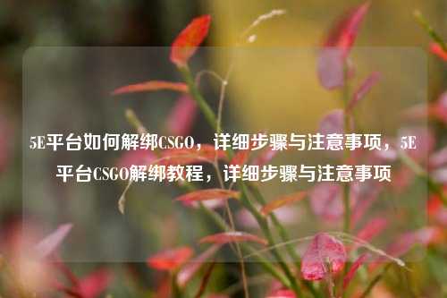 5E平台如何解绑CSGO,详细步骤与注意事项,5E平台CSGO解绑教程,详细步骤与注意事项