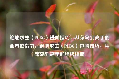 绝地求生（PUBG）进阶技巧，从菜鸟到高手的全方位指南，绝地求生（PUBG）进阶技巧，从菜鸟到高手的终极指南