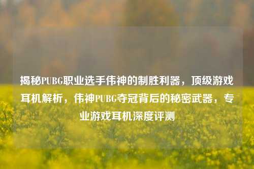 揭秘PUBG职业选手伟神的制胜利器,顶级游戏耳机解析,伟神PUBG夺冠背后的秘密武器,专业游戏耳机深度评测