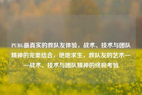PUBG最真实的救队友体验,战术、技术与团队精神的完美结合,绝地求生,救队友的艺术——战术、技术与团队精神的终极考验