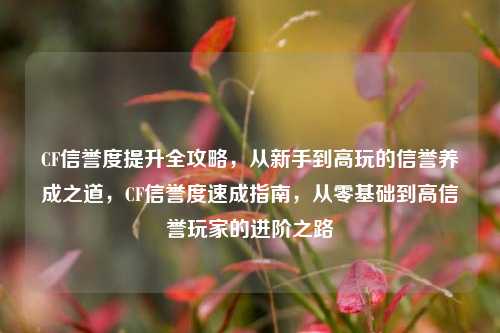 CF信誉度提升全攻略，从新手到高玩的信誉养成之道，CF信誉度速成指南，从零基础到高信誉玩家的进阶之路