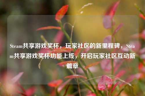 Steam共享游戏奖杯，玩家社区的新里程碑，Steam共享游戏奖杯功能上线，开启玩家社区互动新篇章