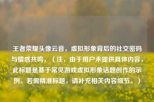 王者荣耀头像云音,虚拟形象背后的社交密码与情感共鸣,(注,由于用户未提供具体内容,此标题是基于常见游戏虚拟形象话题创作的示例。若需精准标题,请补充相关内容细节。)