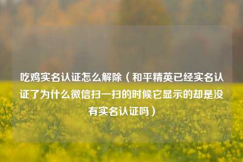 吃鸡实名认证怎么解除（和平精英已经实名认证了为什么微信扫一扫的时候它显示的却是没有实名认证吗）