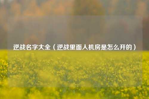 逆战名字大全（逆战里面人机房是怎么开的）